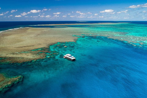 Calypso Outer Great Barrier Reef Cruise From Port Douglas - Accommodation Port Hedland 1