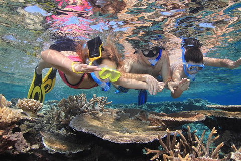 Calypso Outer Great Barrier Reef Cruise From Port Douglas - Accommodation Port Hedland 3
