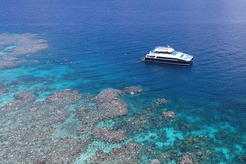 Calypso Outer Great Barrier Reef Cruise From Port Douglas - Accommodation Port Hedland 4