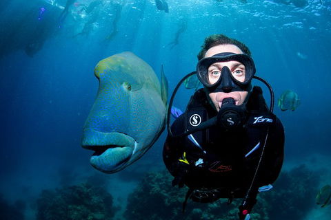 Full Day Reef Cruise Including 10 Minute Heli Scenic Flight: Get High Package - Accommodation Port Hedland 1