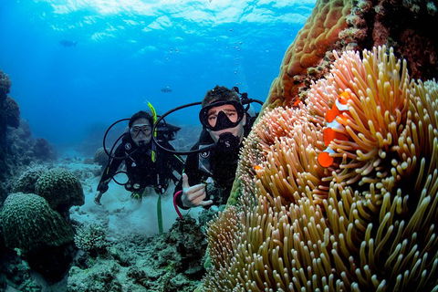 Full Day Reef Cruise Including 10 Minute Heli Scenic Flight: Get High Package - Accommodation Port Hedland 5
