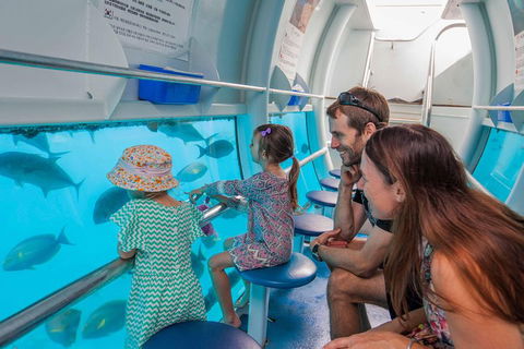 Scenic Helicopter Flight To Moore Reef And Return Snorkeling Cruise From Cairns - Accommodation Port Hedland 3