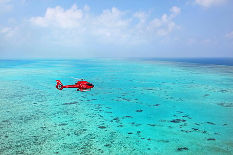 Helicopter And Cruise Packages From Port Douglas - Accommodation Port Hedland 1