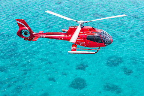 Helicopter And Cruise Packages From Port Douglas - Accommodation Port Hedland 5