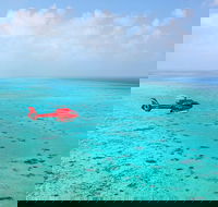 Port Douglas Scenic Flights - Accommodation Port Hedland