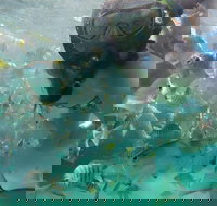 2-Day Moreton Island 4WD Camping Tour from Brisbane - Accommodation Port Hedland