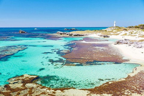 Rottnest Island All-Inclusive Grand Island Tour From Fremantle - Accommodation Port Hedland 1