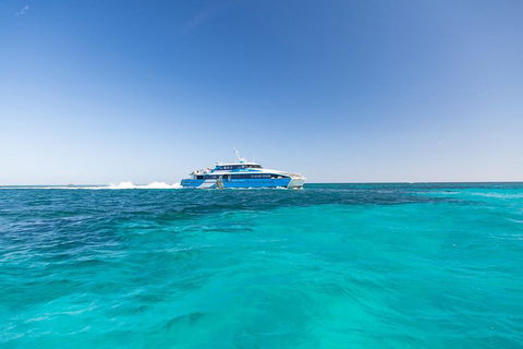 Rottnest Island Bike & Ferry Package From Fremantle - Accommodation Port Hedland 0
