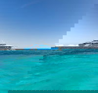 Rottnest Island Bayseeker Day Trip from Perth - Accommodation Port Hedland