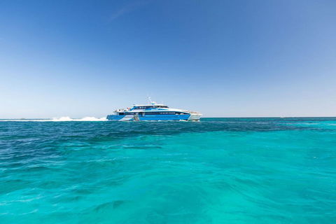 Rottnest Island Bayseeker Day Trip From Perth - Accommodation Port Hedland 0