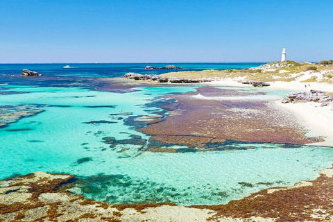 Rottnest Island Bayseeker Day Trip From Perth - Accommodation Port Hedland 4