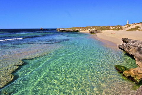 Rottnest Island Bayseeker Day Trip From Perth - Accommodation Port Hedland 5