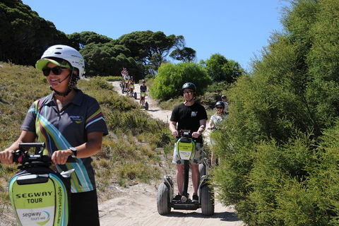 Rottnest Island Settlement Explorer Segway Package From Perth - Accommodation Port Hedland 5