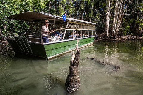 Hartley's Crocodile Adventures Day Trip From Cairns - Accommodation Port Hedland 2