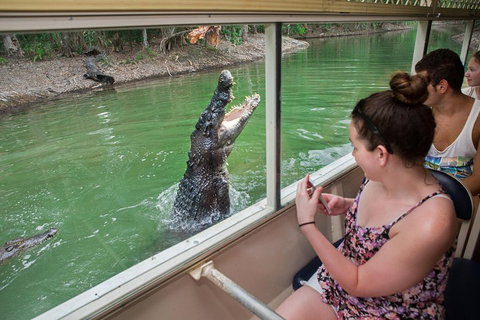 Hartley's Crocodile Adventures Day Trip From Cairns - Accommodation Port Hedland 3