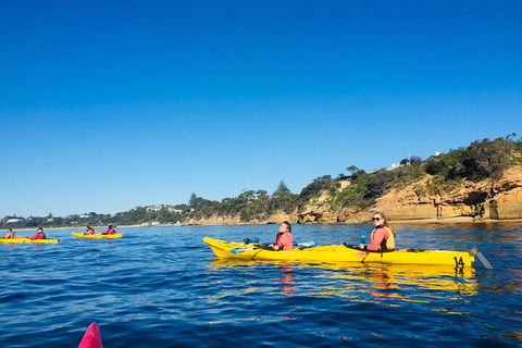 Mornington Peninsula Kayak Coastline Tour Of Dolphin Sanctuary - Accommodation Port Hedland 1