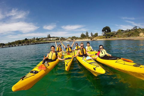 Mornington Peninsula Kayak Coastline Tour Of Dolphin Sanctuary - Accommodation Port Hedland 2