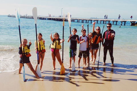 Mornington Peninsula Kayak Coastline Tour Of Dolphin Sanctuary - Accommodation Port Hedland 3