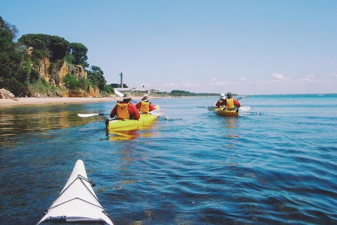 Mornington Peninsula Kayak Coastline Tour Of Dolphin Sanctuary - Accommodation Port Hedland 5