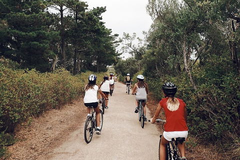 Self-Guided Point Nepean National Park Bike Hire - Accommodation Port Hedland 3