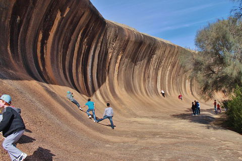 Wave Rock Half Day Air & Ground Tour - Accommodation Port Hedland 2