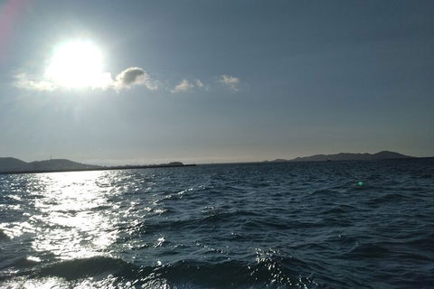 Townsville Small Group Early Morning Sailing Cruise Boat Tour Charter Hire - Accommodation Port Hedland 4