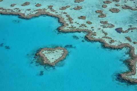 Reef And Island Scenic Flight From Airlie Beach - Accommodation Port Hedland 5