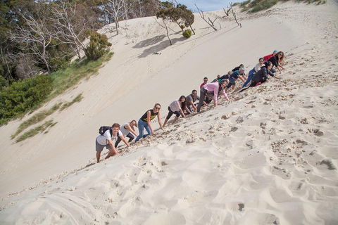 6-Day Tasmanian Explorer Adventure Tour From Hobart - Accommodation Port Hedland 2
