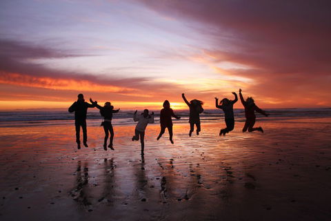 6-Day Tasmanian Explorer Adventure Tour From Hobart - Accommodation Port Hedland 3