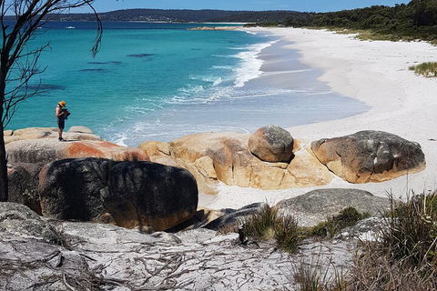 2-Day Tas East Coast Escape Tour Including Bay Of Fires, Wineglass Bay & Devils - Accommodation Port Hedland 4