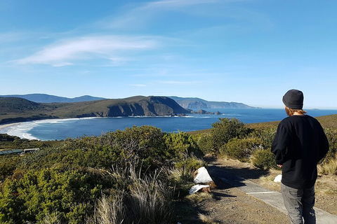4-Day Fabulous Tasmania Tour: Wineglass Bay, Port Arthur, Devils & Bruny Island - Accommodation Port Hedland 0