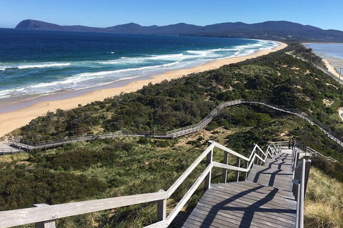 4-Day Fabulous Tasmania Tour: Wineglass Bay, Port Arthur, Devils & Bruny Island - Accommodation Port Hedland 5