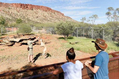 Alice Springs Desert Park General Entry Ticket - Accommodation Port Hedland 4