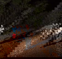 Alice Springs Desert Park Nocturnal Tour - Accommodation Port Hedland