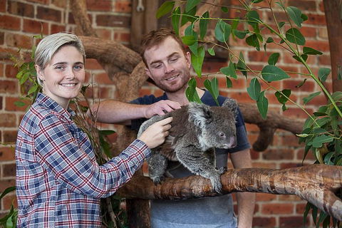 Private Tour: Blue Mountains Day Trip From Sydney - Accommodation Port Hedland 0