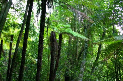 Private Tour: Blue Mountains Day Trip From Sydney - Accommodation Port Hedland 4