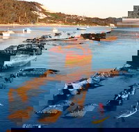 Adventure Moreton Island Wrecks Adventure Package - Accommodation Port Hedland