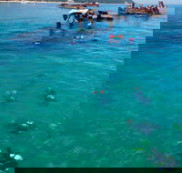 Adventure Moreton Island Scuba Dive Tour - Accommodation Port Hedland