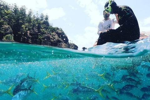 2 Night Small Group Whitsundays Sailing Adventure Aboard Mandrake - Accommodation Port Hedland 5