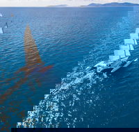 2-Night Whitsunday Islands Sailing Adventure on Trimaran Avatar - Accommodation Port Hedland