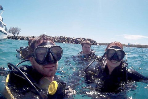 Wave Break Island Scuba Diving On The Gold Coast - Accommodation Port Hedland 0
