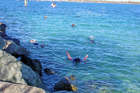 Wave Break Island Scuba Diving On The Gold Coast - Accommodation Port Hedland 1