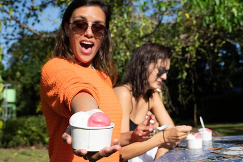 Full Day Daintree Rainforest And Mossman Gorge Tour - Accommodation Port Hedland 3