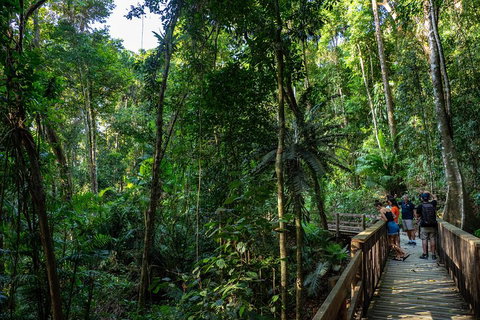 Full Day Daintree Rainforest And Mossman Gorge Tour - Accommodation Port Hedland 5
