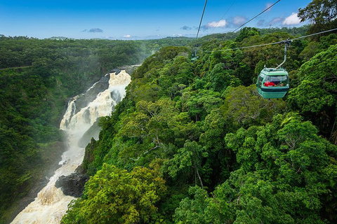 Cairns ATV Adventure Tour And Morning Skyrail - Accommodation Port Hedland 3