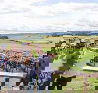 Private Tour of Melbourne - Accommodation Port Hedland