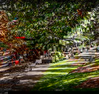 Fully Inclusive Blue Mountains Private Tour inc Scenic World  Featherdale entry - Accommodation Port Hedland