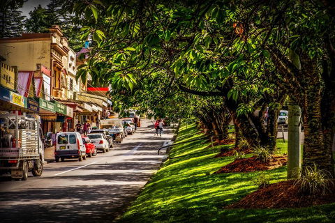 Fully Inclusive Blue Mountains Private Tour Inc Scenic World & Featherdale Entry - Accommodation Port Hedland 0