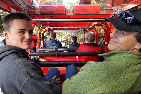 Fully Inclusive Blue Mountains Private Tour Inc Scenic World & Featherdale Entry - Accommodation Port Hedland 1