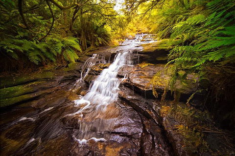 Fully Inclusive Blue Mountains Private Tour Inc Scenic World & Featherdale Entry - Accommodation Port Hedland 3